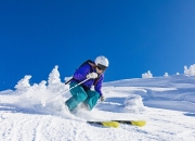  贝林厄姆为啥禁赛 