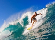  广东男篮超级外援阵容调整志在夺冠 