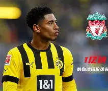  贝林厄姆为啥禁赛 