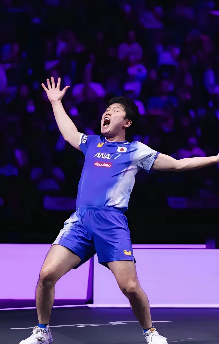 张本智和刷新里程碑，广厦男篮常规赛力克菲尼克斯太阳，晋级概率达70％的简单介绍